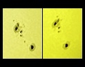 A detailed view of the evolution of a sunspot dotting the Sun, June 24th-25th, 2015 (Perl 60mm refractor with a solar filter in sheet at the instrument's aperture, and a Perl Echorius 1.3 Webcam; picture stacked with RegiStax, edited and colorized with a image editor; home observatory)