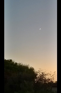 A inspiring view of the first quartered Moon in western twilight! (Microsoft Lumia 535 smartphone; home observatory)