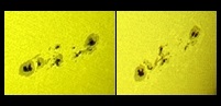 Both the Sep. 29 and Sep. 30, 2015 sunspots areas seen in their evolution (Perl 60mm refractor with a solar filter in sheet at the instrument's aperture, and a Perl Echorius 1.3 Webcam; picture stacked with RegiStax, edited and colorized with a image editor; home observatory)