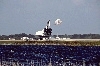 thumbnail to a view of the STS-120 mission landing at the KSC, on Thursday, Nov. 7 / vignette-lien vers une vue de la mission STS-120 atterrissant au Kennedy Space Center le mercredi 7 novembre