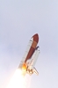 thumbnail to a view of space shuttle Endeavour few after liftoff on May 16, 2011 at 8:56 a.m. EDT, from Launch Pad 39A at the Kennedy Space Center in Florida / vignette-lien vers une vue de la navette Endeavour peu aprs le dcollage, le 16 mai 2011, 8h 56 heure d't de la cte est amricaine, du Kennedy Space Center, en Floride
