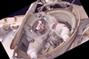 thumbnail to a view of one of both astronaut reentering the ISS through a airlock after spacewalk 2 of the STS-134 Space Shuttle mission at the ISS / vignette-lien vers une vue de l'un des deux astronautes de la 2me sortie dans l'espace de la mission STS-134 qui rentre dans l'ISS via un sas