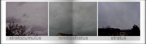 stratocumulus, nimbostratus, stratus