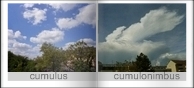 cumulus, cumulonimbus