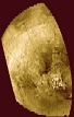 thumbnail to various relief features of Titan