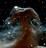 thumbnail to Editor's Choice Fine Picture: The Horsehead Nebula in The Infrared! / La nbuleuse de la Tte de Cheval dans l'infrarouge