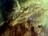 thumbnail to Editor's Choice Fine Picture: The Lagoon Nebula / vignette-lien vers Image choisie: La nbuleuse du Lagon