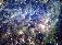 thumbnail to Editor's choice fine picture: Stars' Lifes in The Large Magellanic Cloud (LMC) / vignette-lien vers Image choisie: Cycles d'étoiles dans le Grand Nuage de Magellan