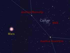 Mars, at the opposition, will be not that far from M44, Praesepe, the famed open cluster in Cancer, the Crab!