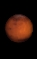 Mars as seen between 02/03 and 10/03, dans le cadre de l'opposition 2011-2012