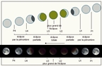 vignette-lien vers comment apparaissent les diffrentes phases d'une clipse totale de Lune
