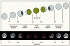 thumbnail to how the different phases of a Moon total eclipse are seen