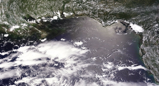 Editor's Choice Fine Picture: The Louisiana BP Oil Spill / La mare noire en Louisiane