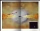 vignette-lien vers l'illustration du trou noir supermassif d'un quasar (lgendes en anglais seulement)